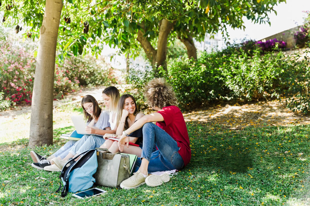 Give the Gift of a Tree This Summer
