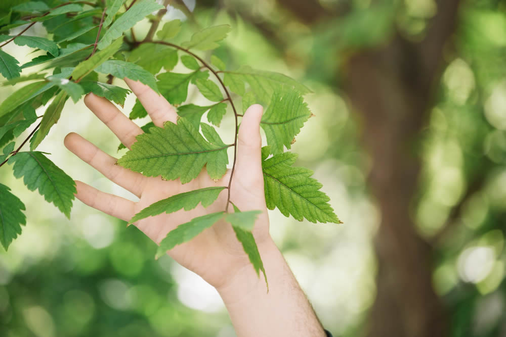 Eco-Friendly Gift Ideas